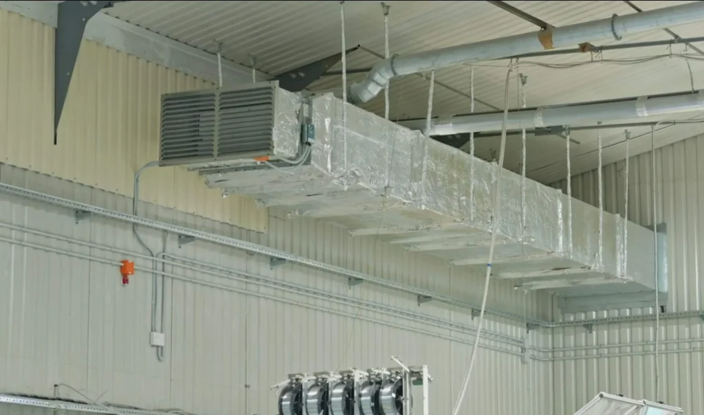 Полиграфика